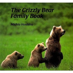 Hoshino - The Grizzly Bear Family Book