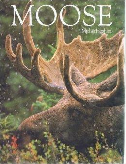 Hoshino - Moose