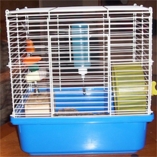 hamster-cage