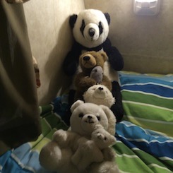 The Bear Family with Edward
